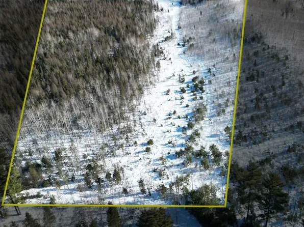 Murray 20 Rd, Perronville, MI 49873