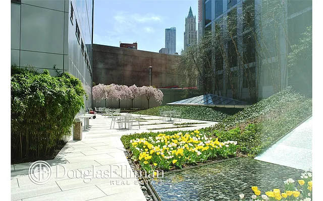 Rented by Douglas Elliman | media 37