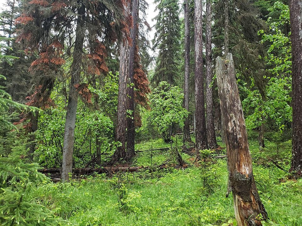 Nhn Butcher Creek Rd, Trego, MT 59934 MLS 22208372 Zillow