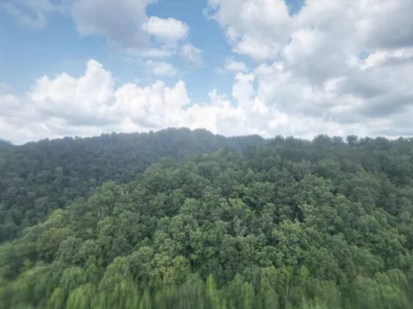 0 Right Fork Rd, Mohawk, WV 24862