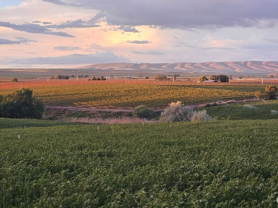 1st image of 125498 W McCreadie