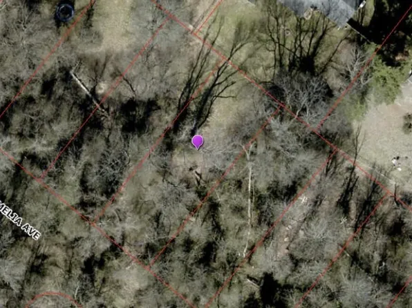 319 Camelia Ave, Lyndon, KY 40222