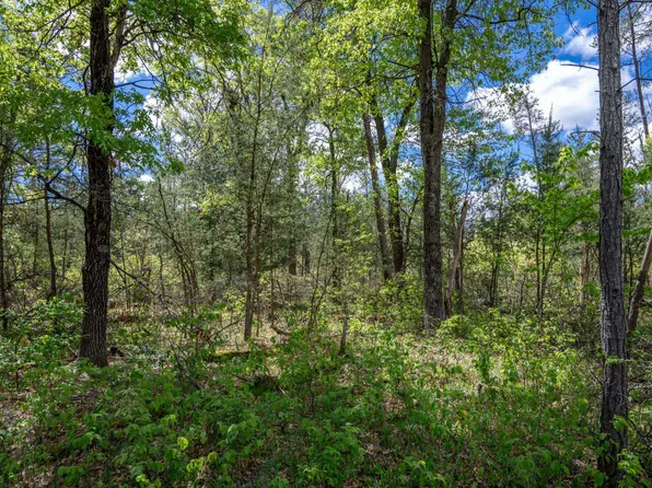 LOT 29 Beach Dr, New Lisbon, WI 53950