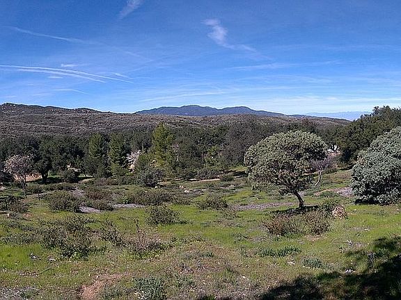2nd image of LOT 115 El Dorado Road