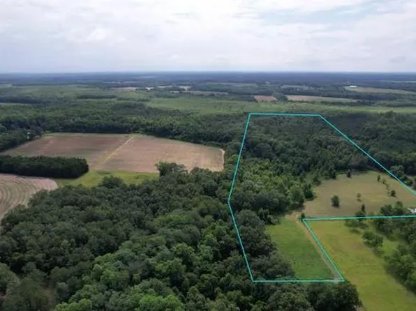 6719 S State Highway 109, Slocomb, AL 36375