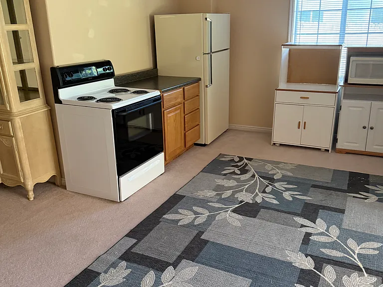 kitchen fridge, stove, cabinets
