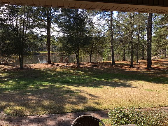View from Back Porch