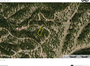 1093 Pinewood Rd, Florissant, CO 80816
