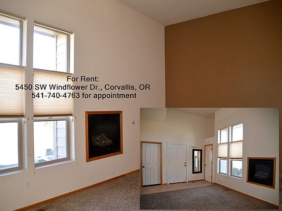 Living room with gas fireplace.