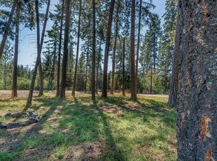 Nhn Yenne Point Rd, Bigfork, MT 59911