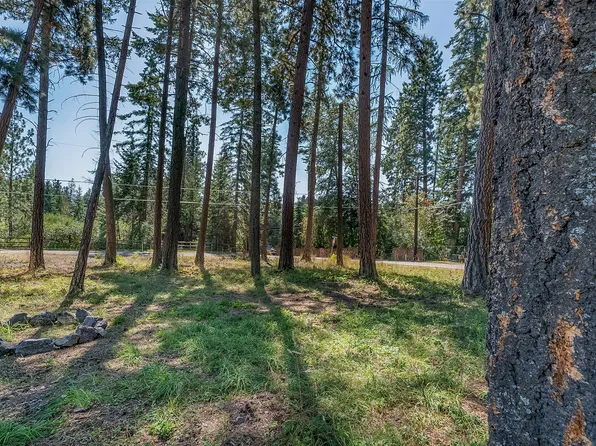 Nhn Yenne Point Rd, Bigfork, MT 59911