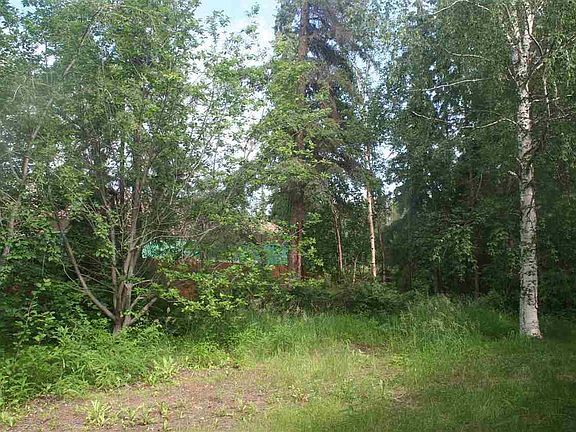 2nd image of 2705 Bird Dr