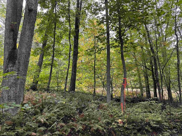 6 Deckers Trail Rd, Masontown, WV 26542