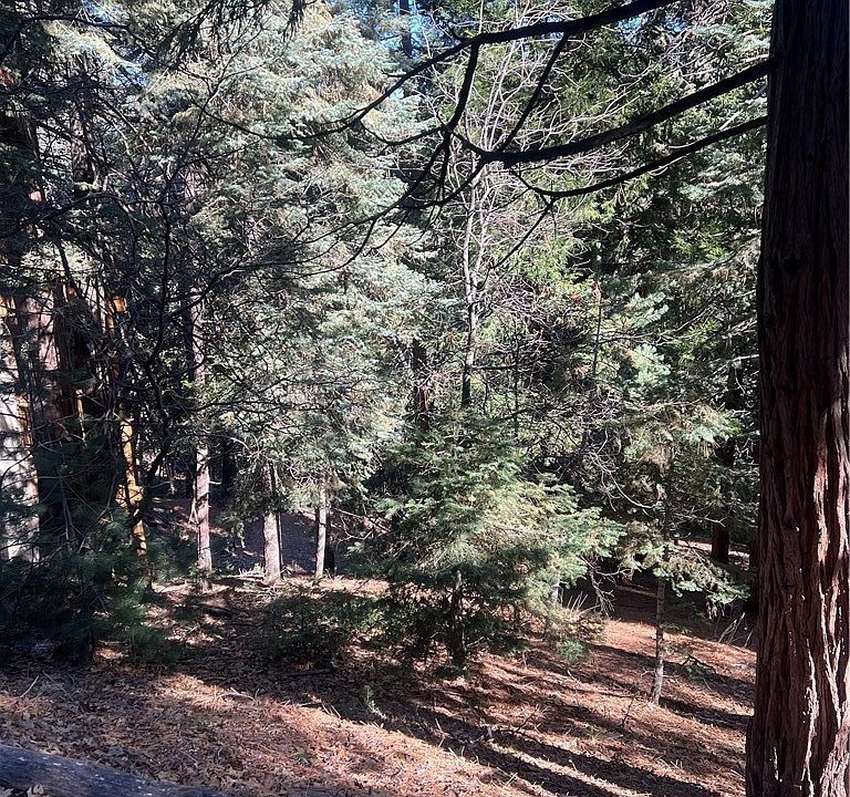 1st image of 0 Forest Gln