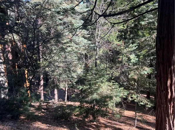 0 Forest Gln, Twin Peaks, CA 92391