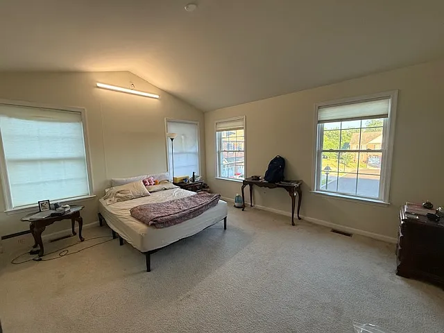 Master bedroom with cathedral ceiling