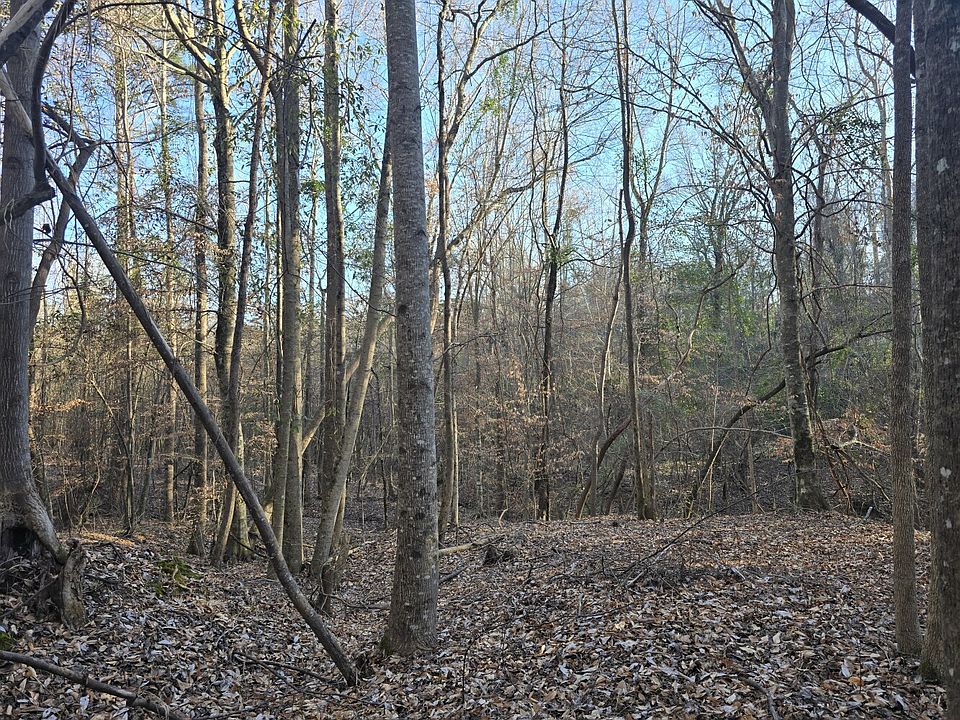 2nd image of 0 County Road 17
