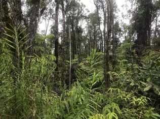 11 2816th #2, Volcano, HI 96785