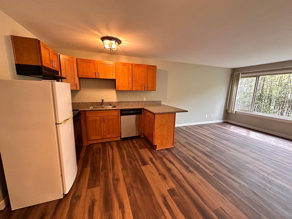 Kitchen and living room area