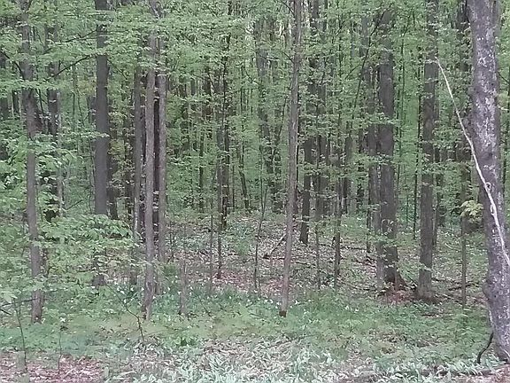 20180521_152100