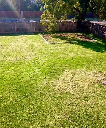 Large level backyard with wood fence