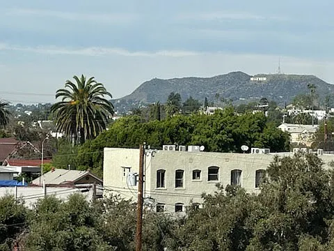 631 Coronado Ter #14 — Photo 7