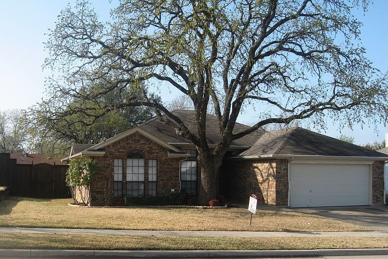 House Front/Large Tree