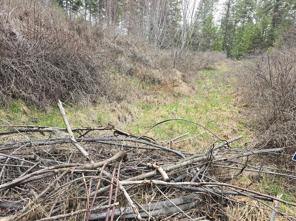 Vanesse Rd, Kettle Falls, WA 99141