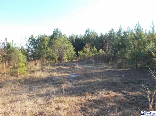 580 New Hope Church Rd, Mc Bee, SC 29101
