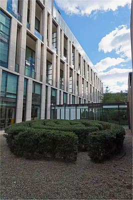 Rented by Douglas Elliman | media 15