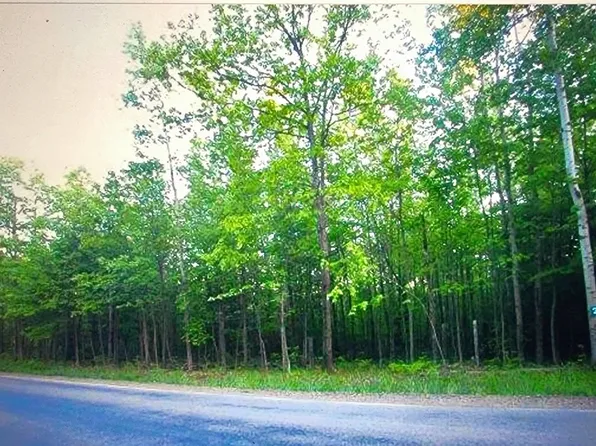 156 Dodd Rd, Windsor, NY 13865