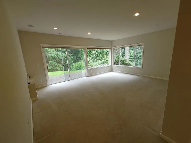 lower level 2nd family room
