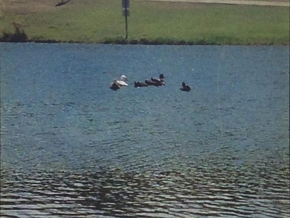 2nd image of 17303 Lake Wood Cir