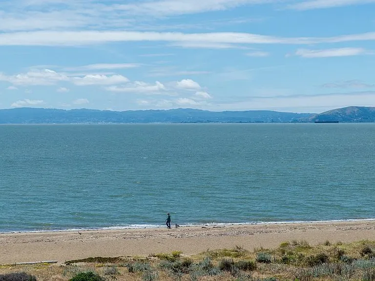Shoreline — Photo 7