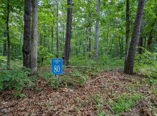 80 Doll Mountain Rd, Ellijay, GA 30540