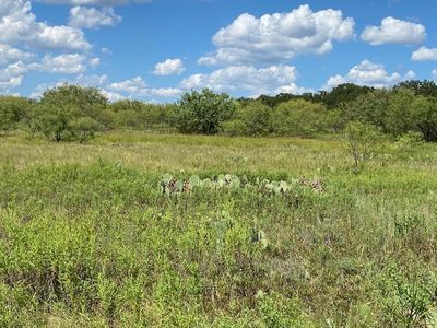 0 County Road 334, Blanket, TX, 76432