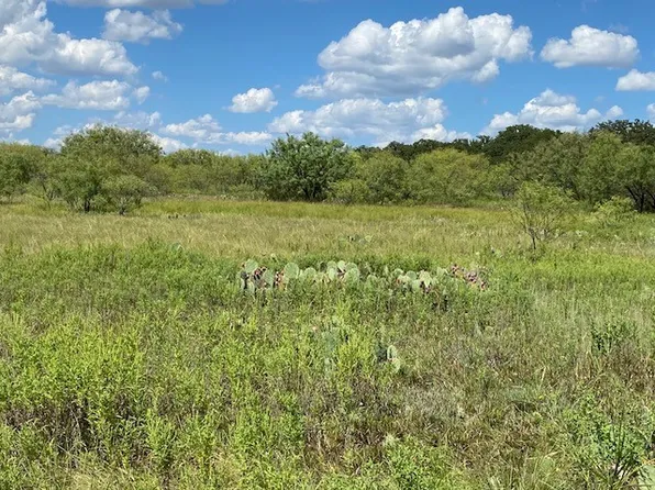 0 County Road 334, Blanket, TX 76432