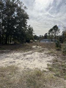 0 SE 158th St #44, Summerfield, FL, 34491