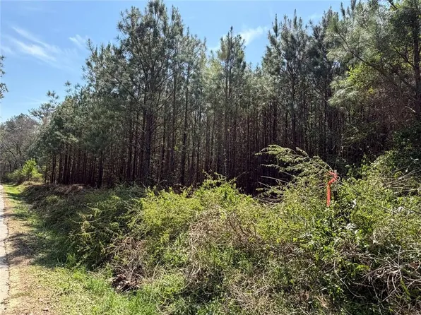 84 Popham Rd Tract 3, Taylorsville, GA 30178