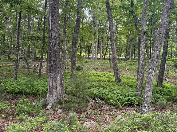 4th image of LOT 29 Lakewood Dr