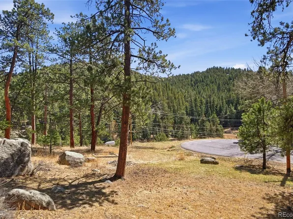27559 Fireweed Drive, Evergreen, CO 80439