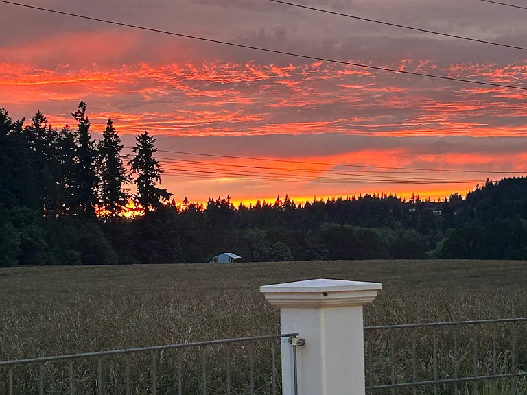 Beautiful Sunsets from back