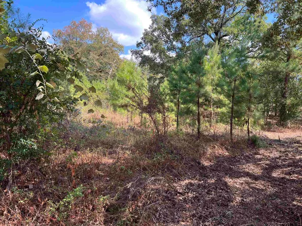 138 Private Road 5294, Elkhart, TX 75839