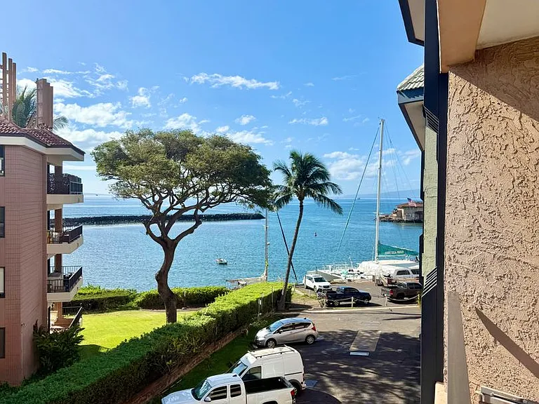 20 Hauoli St #305 — Photo 9