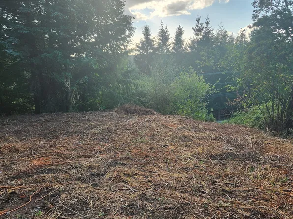 0 NE Jabez Street, Winlock, WA 98596