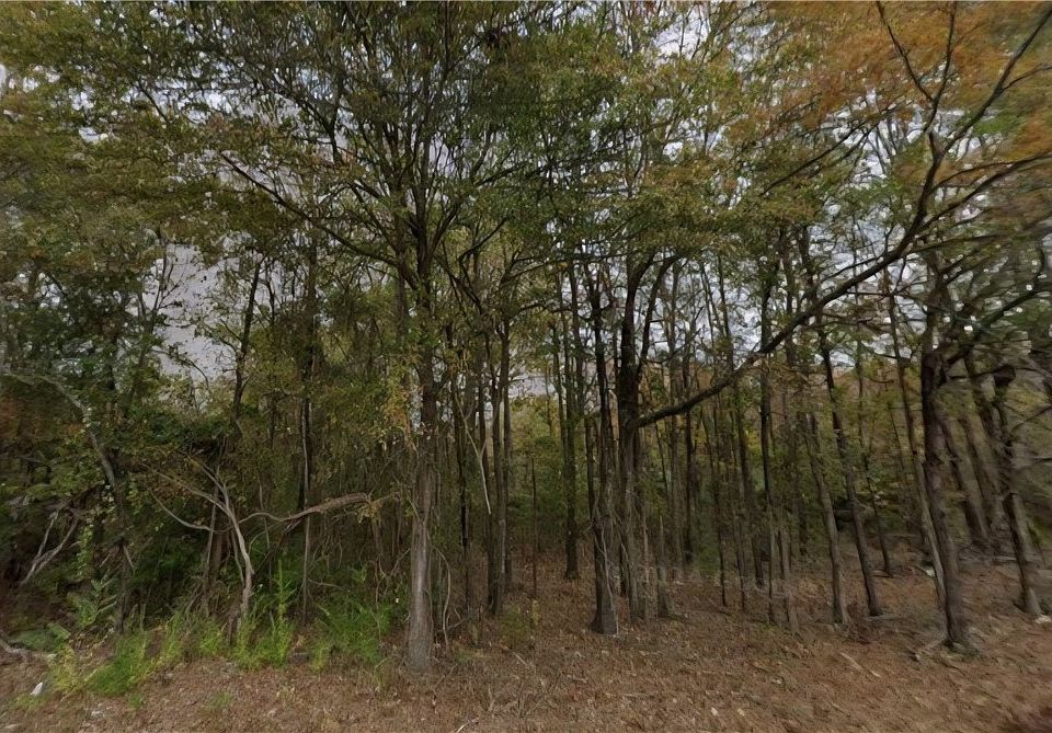1st image of 1-2 Southfield Rd #El