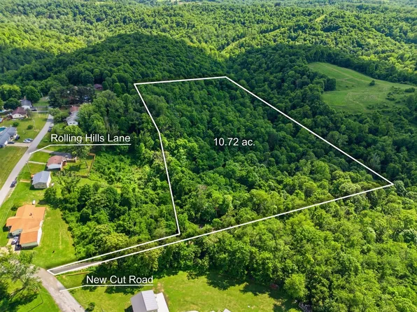 New Cut Rd, Shadyside, OH 43947