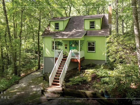 1263 Bee Tree Road, Glenville, NC 28736