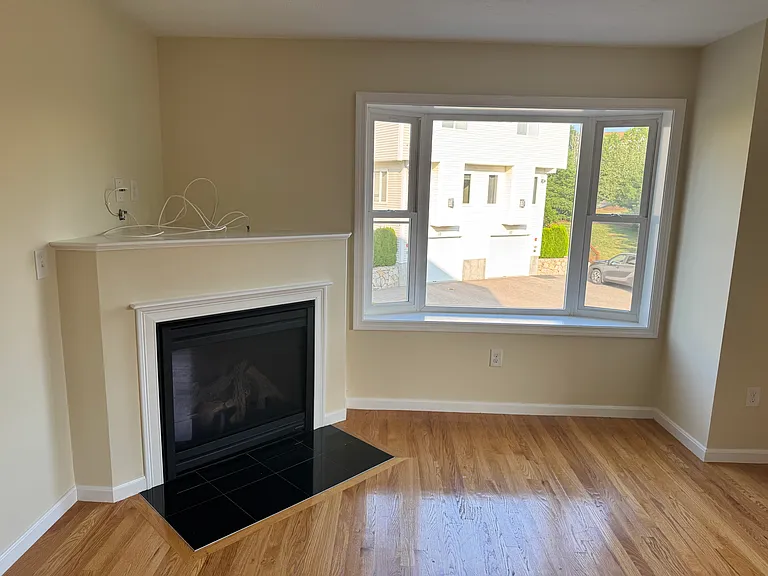 Living room window and fireplace