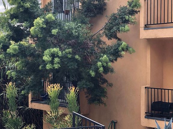 3rd image of 1920 Effie St APT 2